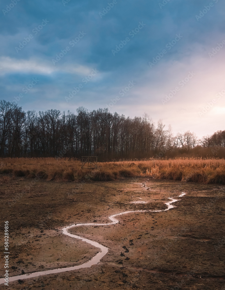 Dry pond with small stream at sunset. Czech tranquil landscape Dry pond with small stream at sunset. Czech tranquil landscape