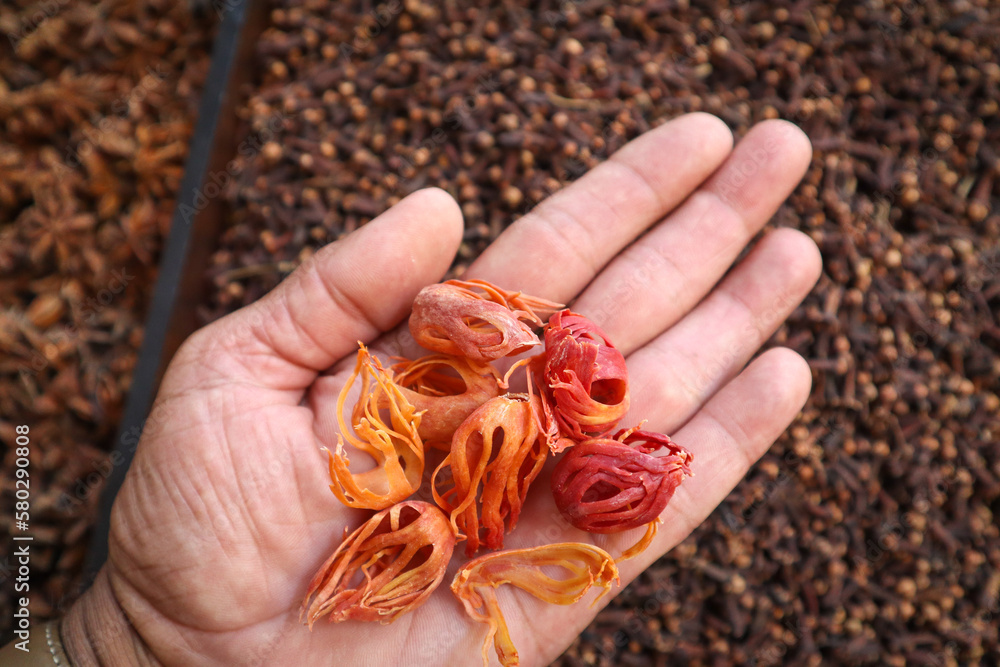 Foto de A Close up picture of 'Mace spice' in hand used in preparing