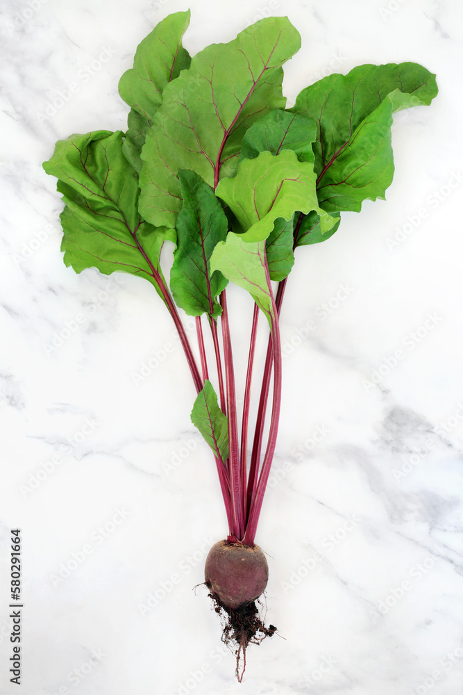 Foto de Beetroot plant with earth root ball and leaves. Healthy super