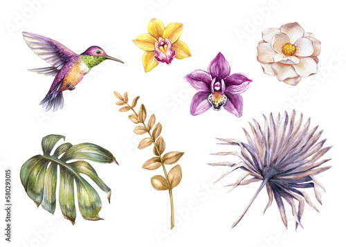 watercolor botanical illustration. Set of tropical floral design elements. Orchid flowers  humming bird  palm leaf. Clip art collection isolated on white background