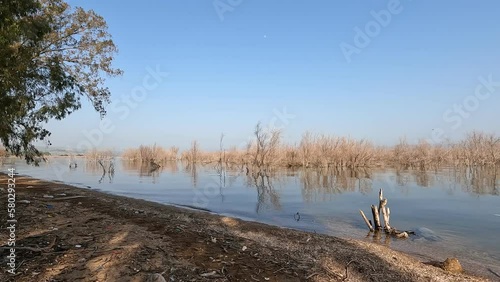An wild beach in the Sea of Galilee near Tiberias - north of Israel