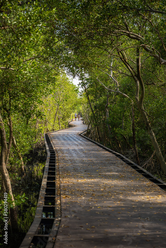 A walk way at Laem Phak Bia, Ban Laem District, Phetchaburi Province, Thailand