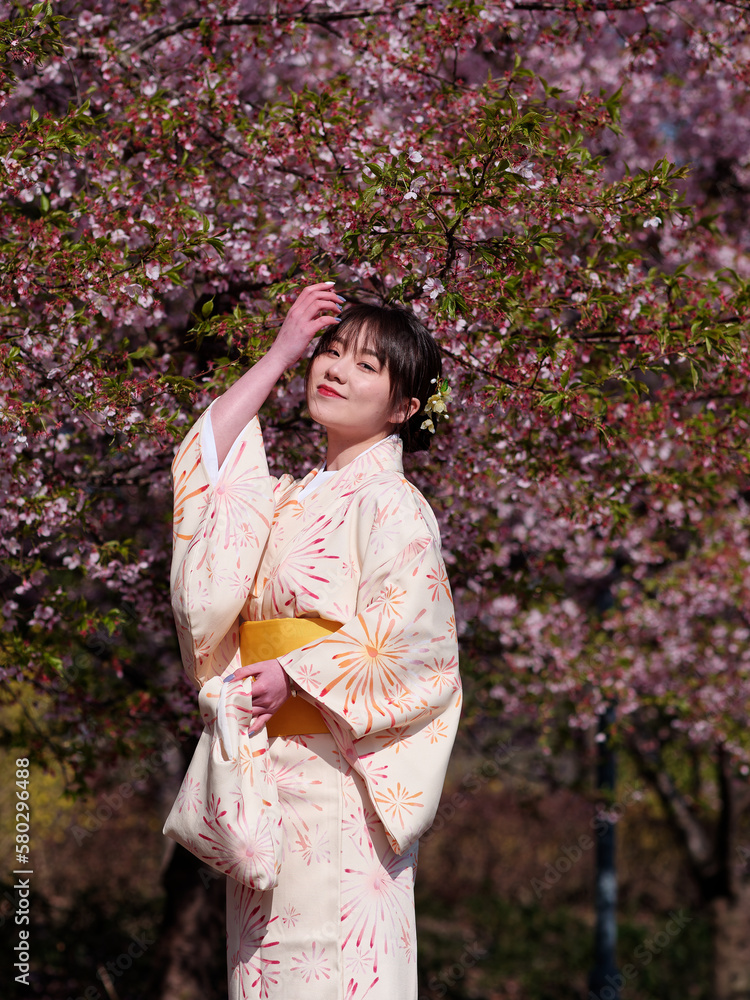 Portrait of beautiful young Chinese girl in Japanese kimono posing with blossom cherry flowers background in spring garden, beauty, emotion, lifestyle, expression and people concept. Portrait of beautiful young Chinese girl in Japanese kimono posing with blossom cherry flowers background in spring garden, beauty, emotion, lifestyle, expression and people concept.