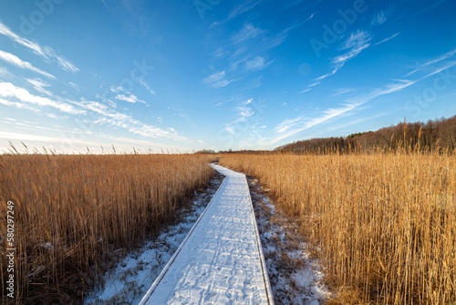 A wooden path in the Poleski National Park
