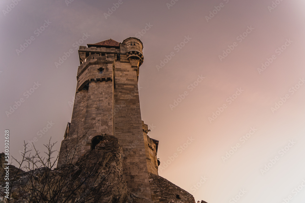 Obraz premium tower of a castle with pink sky