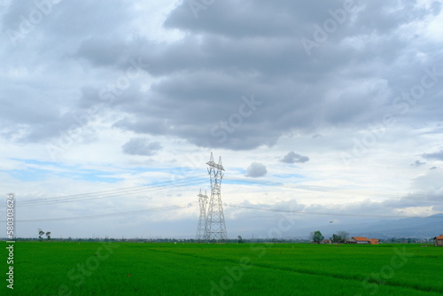 View of green and beautiful rice fields on the outskirts of Bandung - Indonesia