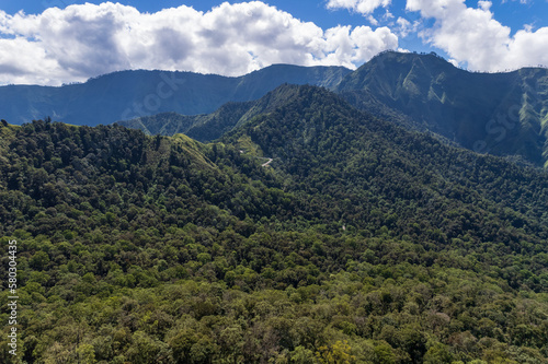 Forest area of mount Rinjani Lombok island