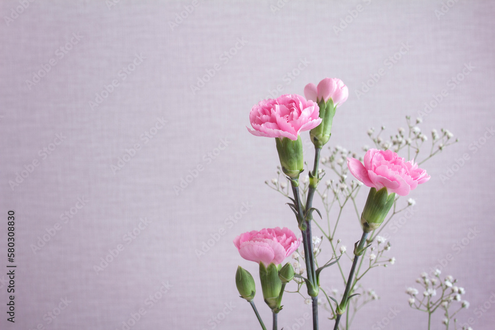 Pale pink space with pink carnations and baby's breath, copy space to the left Pale pink space with pink carnations and baby's breath, copy space to the left