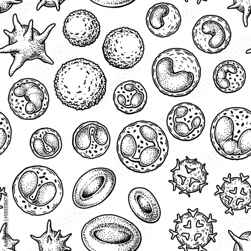 Blood cells seamless pattern. Hand drawn erythrocytes, leukocytes and platelet. Scientific biology illustration in sketch style