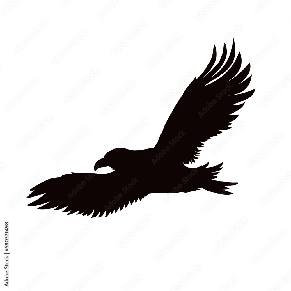 raven, crown silhouette - isolated - vector illustration raven, crown silhouette - isolated - vector illustration