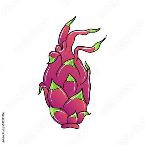 Illustration of a dragon fruit