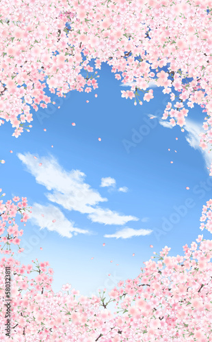 満開の桜と花びら・小  縦型イラスト素材 -青空背景- 色違い・差分あり