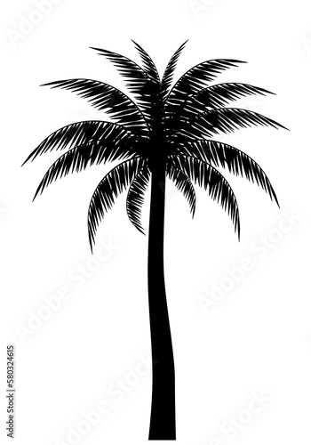 Palm tree silhouette