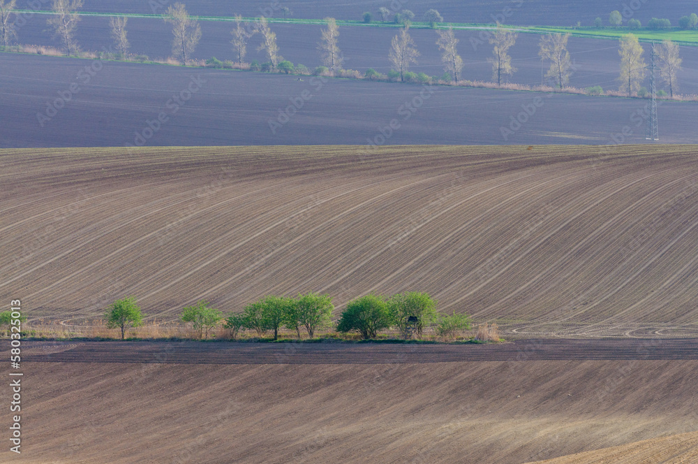 plowed fields and green trees