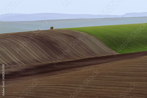 plowed fields and green hills in moravia