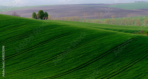 green hills in moravia © AM Boro