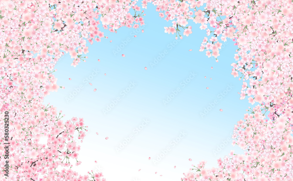 イラスト素材 満開の桜と花びら・小 -水色グラデーション背景- 色違い・差分あり