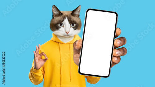 Cute pussy cat showing okay and cell phone, mockup