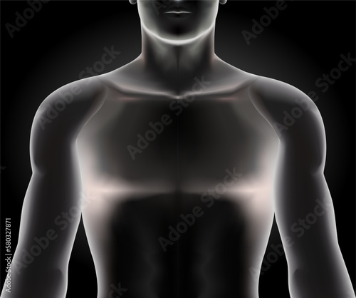 X-ray body illustration