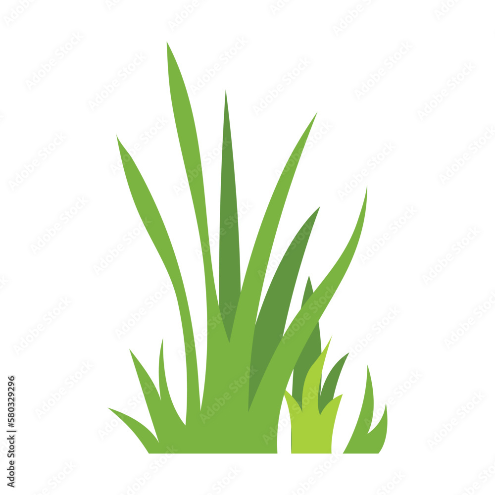 Obraz premium Green grass Illustration. Green lawn, flower, natural borders, herbs. Flat vector illustrations for spring, summer, nature, ground, plants concept.