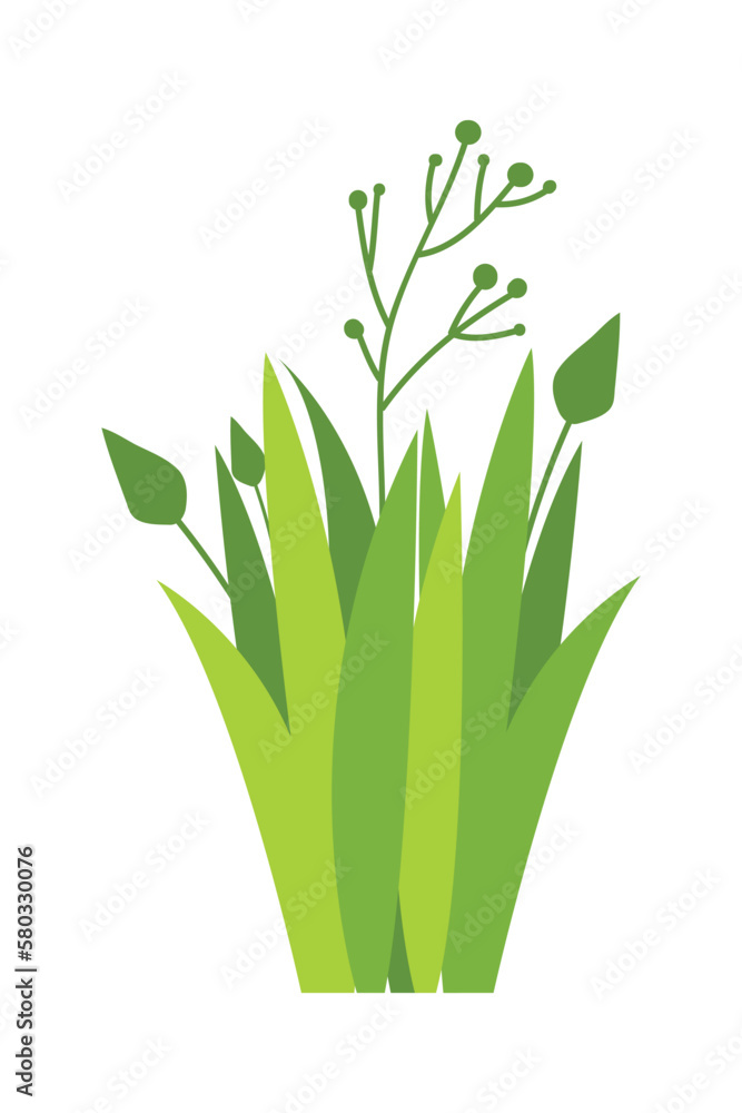 Obraz premium Green grass Illustration. Green lawn, flower, natural borders, herbs. Flat vector illustrations for spring, summer, nature, ground, plants concept.