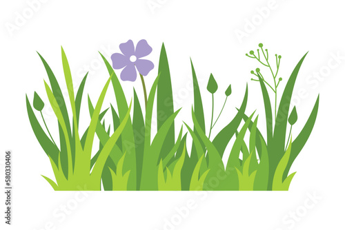 Green grass Illustration. Green lawn, flower, natural borders, herbs. Flat vector illustrations for spring, summer, nature, ground, plants concept.