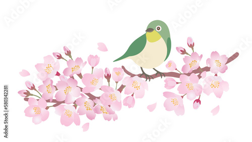 桜の枝にとまるメジロのイラスト