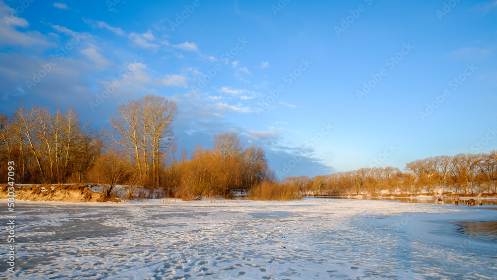 trees in winter trees in winter