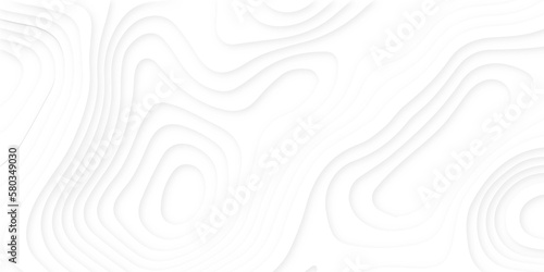 Abstract wavy line 3d paper cut white background. Topographic canyon geometric map relief texture with curved layers and shadow. Abstract realistic papercut decoration textured with wavy layers	