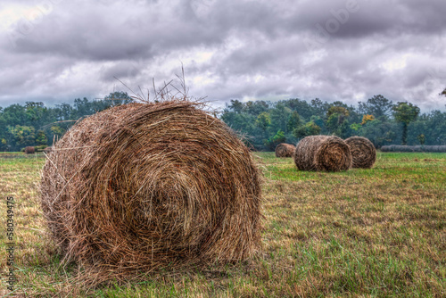 Obraz na płótnie Hay Bales with Clouds