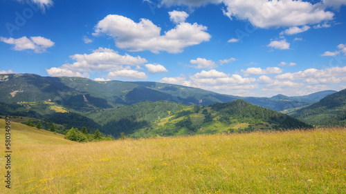 grassy hills and meadows on rolling hills. carpathian mountain landscape in summer. idyllic scenery with fluffy clouds on the sky © Pellinni