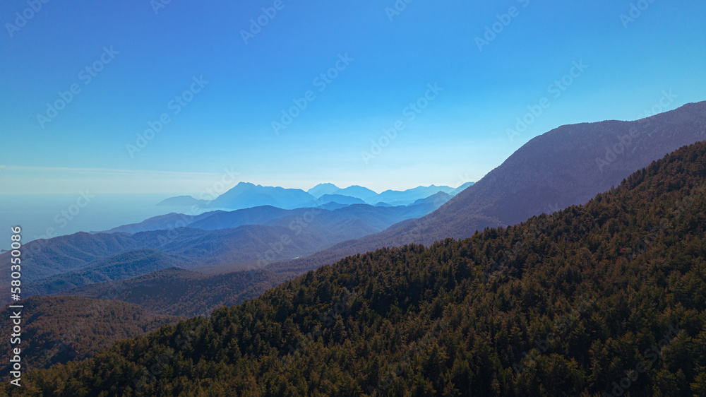 mountain landscape. brown forest blue sky beautiful landscape