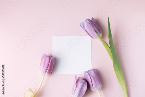 Fototapeta Naklejka Na Ścianę i Meble -  Bouquet of purple tulips and paper on pink background.