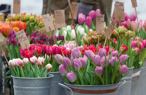 Photography Selling flowers at the beginning of the season at the farmers street market in Prague, colorful tulips in the foreground