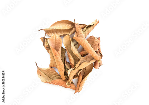 Dry leaves on white background © kurapy