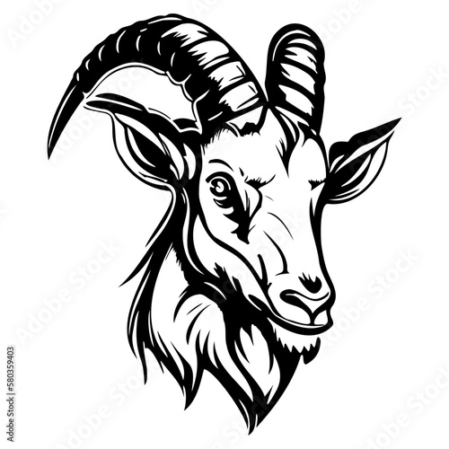 head of goat vector illustration, goat logo 