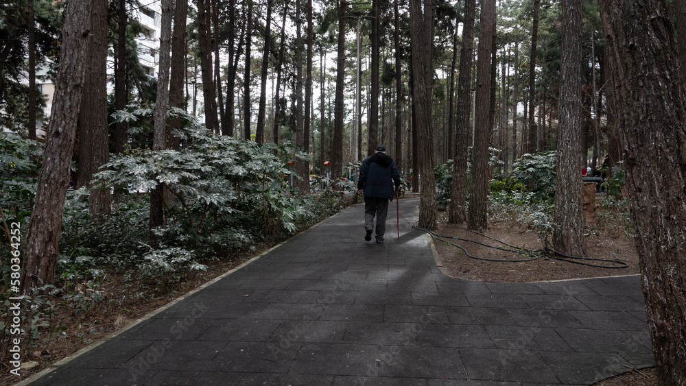 An elderly man with a stick is walking through the autumn park. An elderly man with a stick is walking through the autumn park.