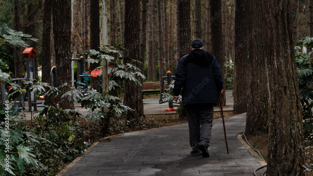 An elderly man with a stick is walking through the autumn park. An elderly man with a stick is walking through the autumn park.