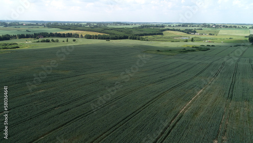 Fototapeta Naklejka Na Ścianę i Meble -  DCIM\100MEDIA\DJI_0051.JPG