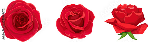 Roses. Set of three red rose flowers isolated on a white background. Vector illustration