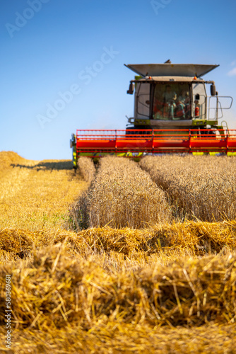 Travail dans les champs, agriculteur au volant de sa moissonneuse pendant la récolte du blé.