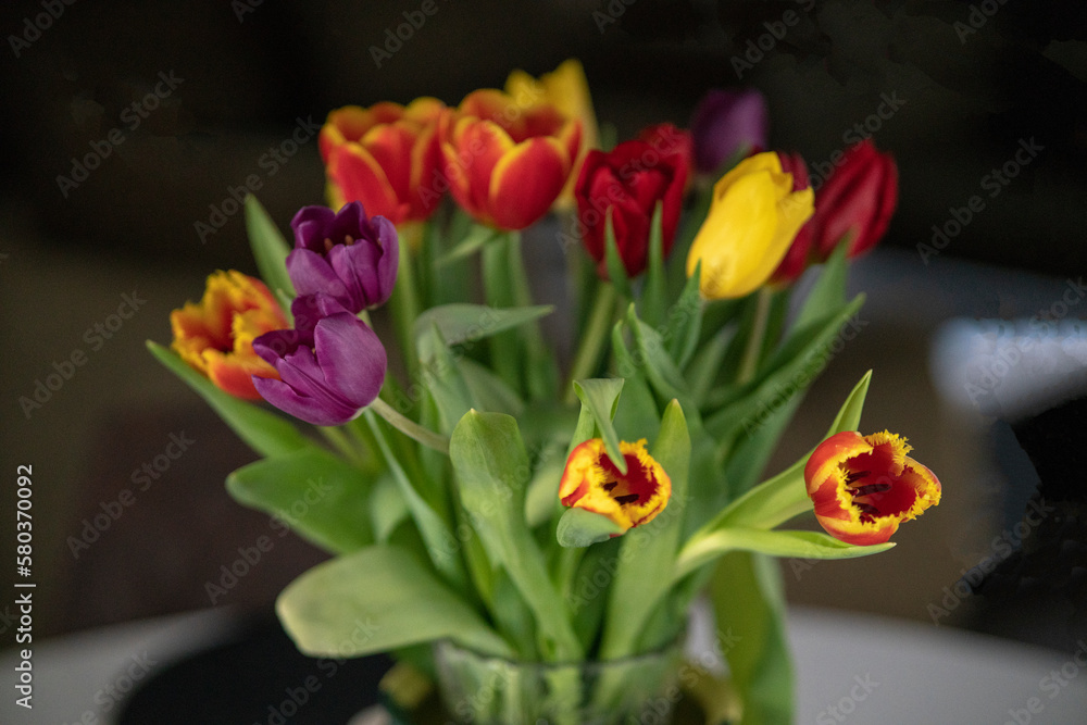 Many different tulips in a flowerpot