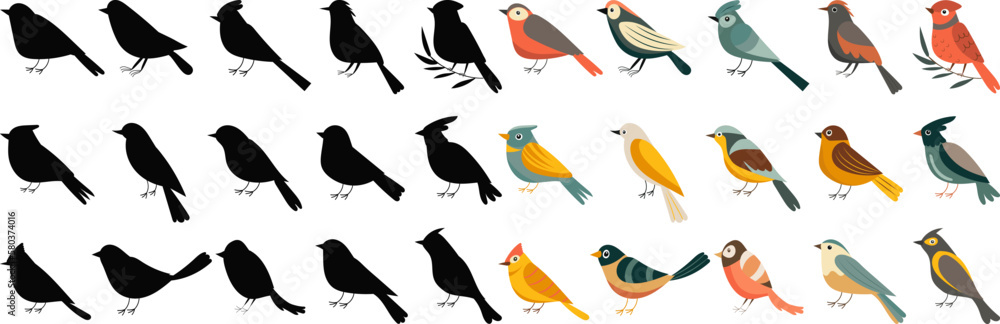 set of birdies collection isolated, vector set of birdies collection isolated, vector