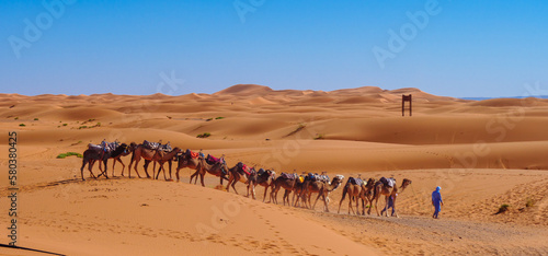 Camel caravan in the sahara desert