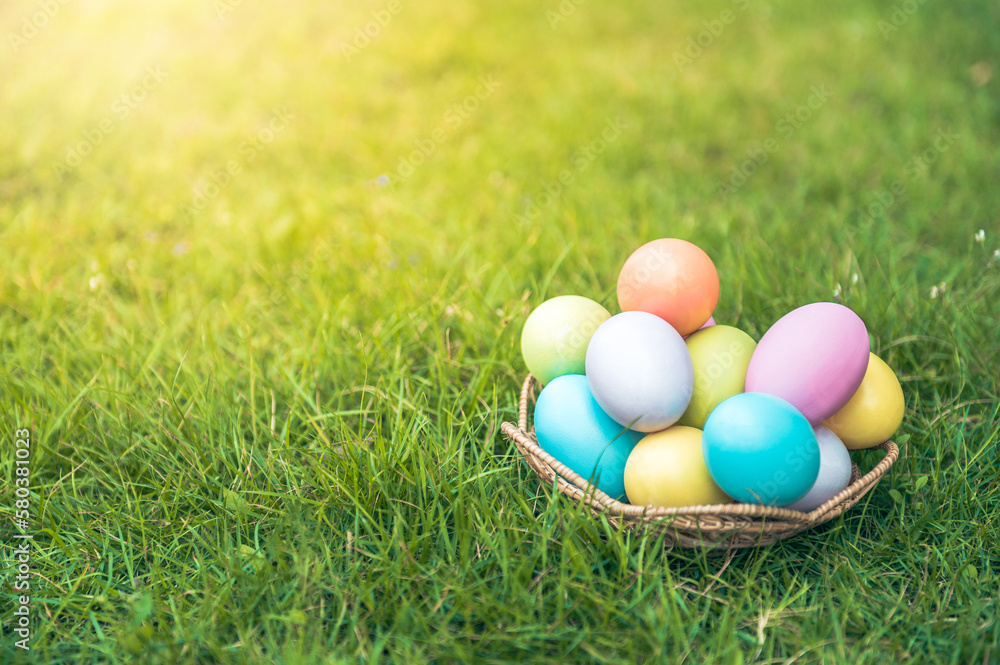Colourful Easter eggs decoration in basket with flower on green grass lawn. Happy Easter tradition holiday and springtime seasonal celebration concept.