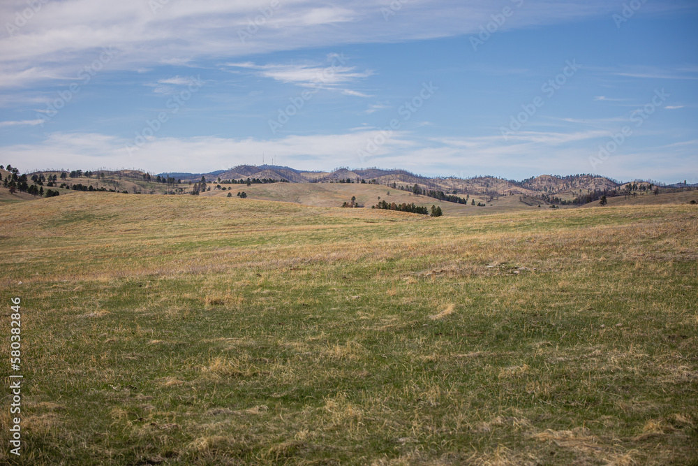 Obraz premium Custer State Park, SD