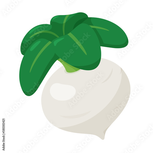 蕪のイラスト
