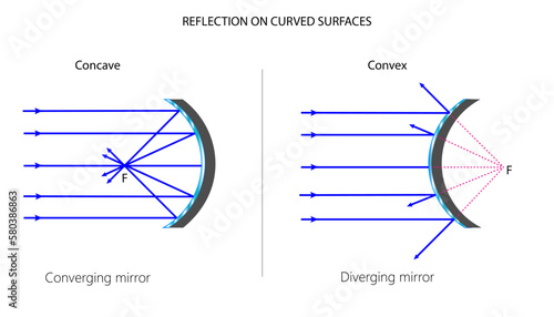 Reflection on convex and concave mirrors photo