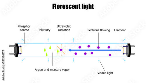 diagram of a florescent light tube