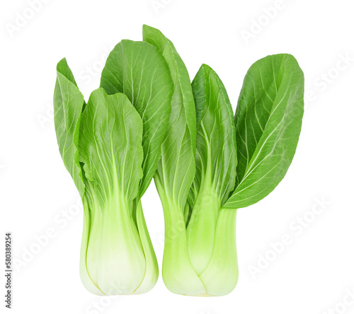 Fotografie Bok choy (chinese cabbage) isolated on transparent background